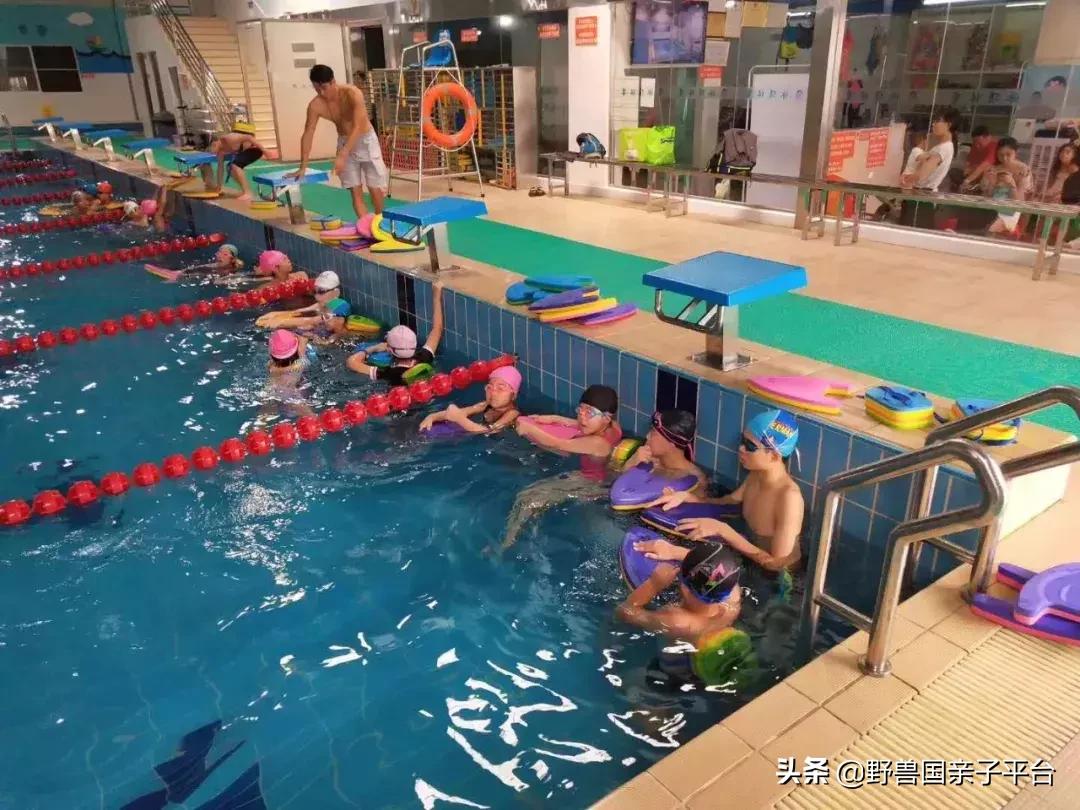 东莞哪里有学潜水的培训班,东莞潜水专业训练儿童