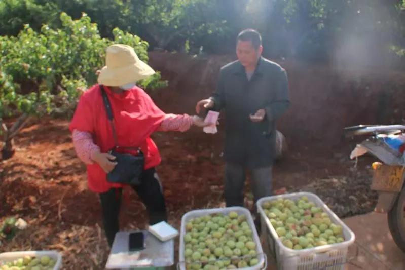 测土配方施肥的四大好处,测土配方施肥技术成本与收益