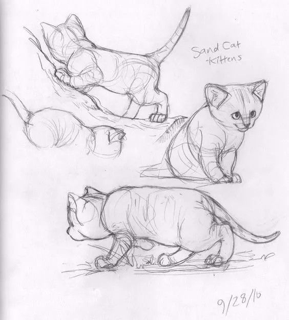 简笔画人物教程大全零基础成人,1000个适合零基础的简笔画教程