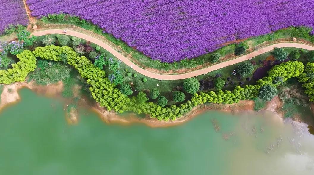 云南最美的旅游景点排名,大美云南11个县域旅游地