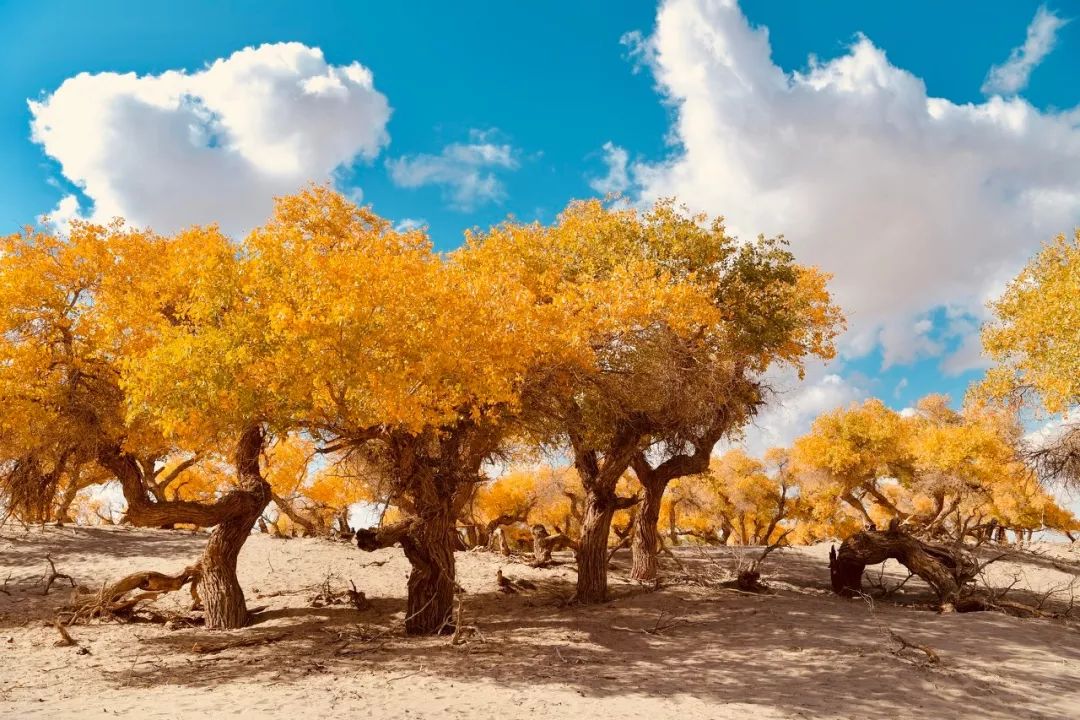 最值得去的10个国外旅行地,国内最值得去的二十个城市
