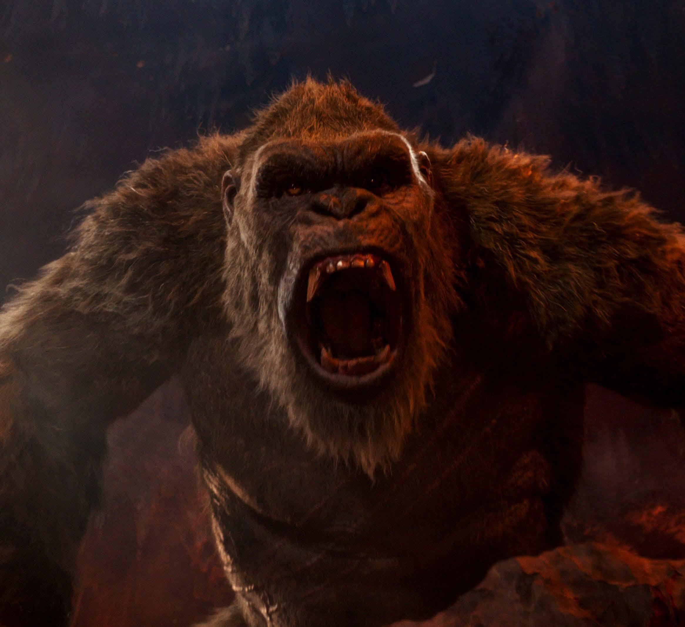 好莱坞大片2021年10月,好莱坞近期大片