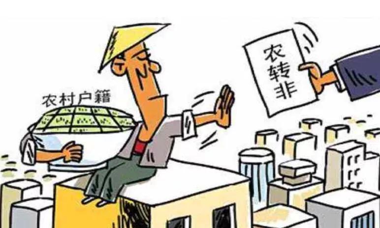 寰佹媶涓繀鐭ョ殑鐭ヨ瘑,寰佹媶甯歌娉曞緥娉曡