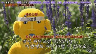 9.6分神级综艺，一集够笑一个礼拜