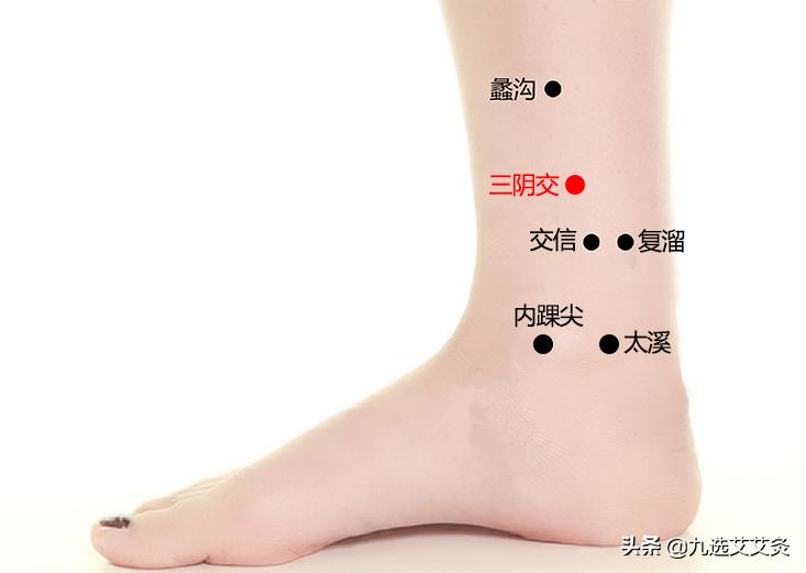 湿疹按哪个穴位就管用,湿疹的最佳穴位在哪里