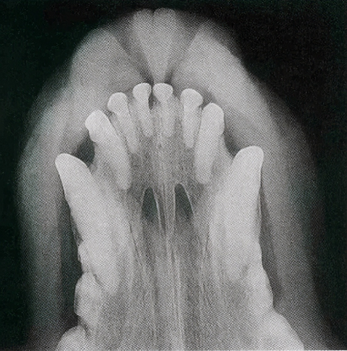 猫咪长蛀牙了需要拔掉吗,猫有蛀牙怎么处理最好