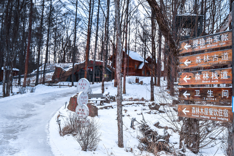 冰雪总动员简介,冰雪总动员