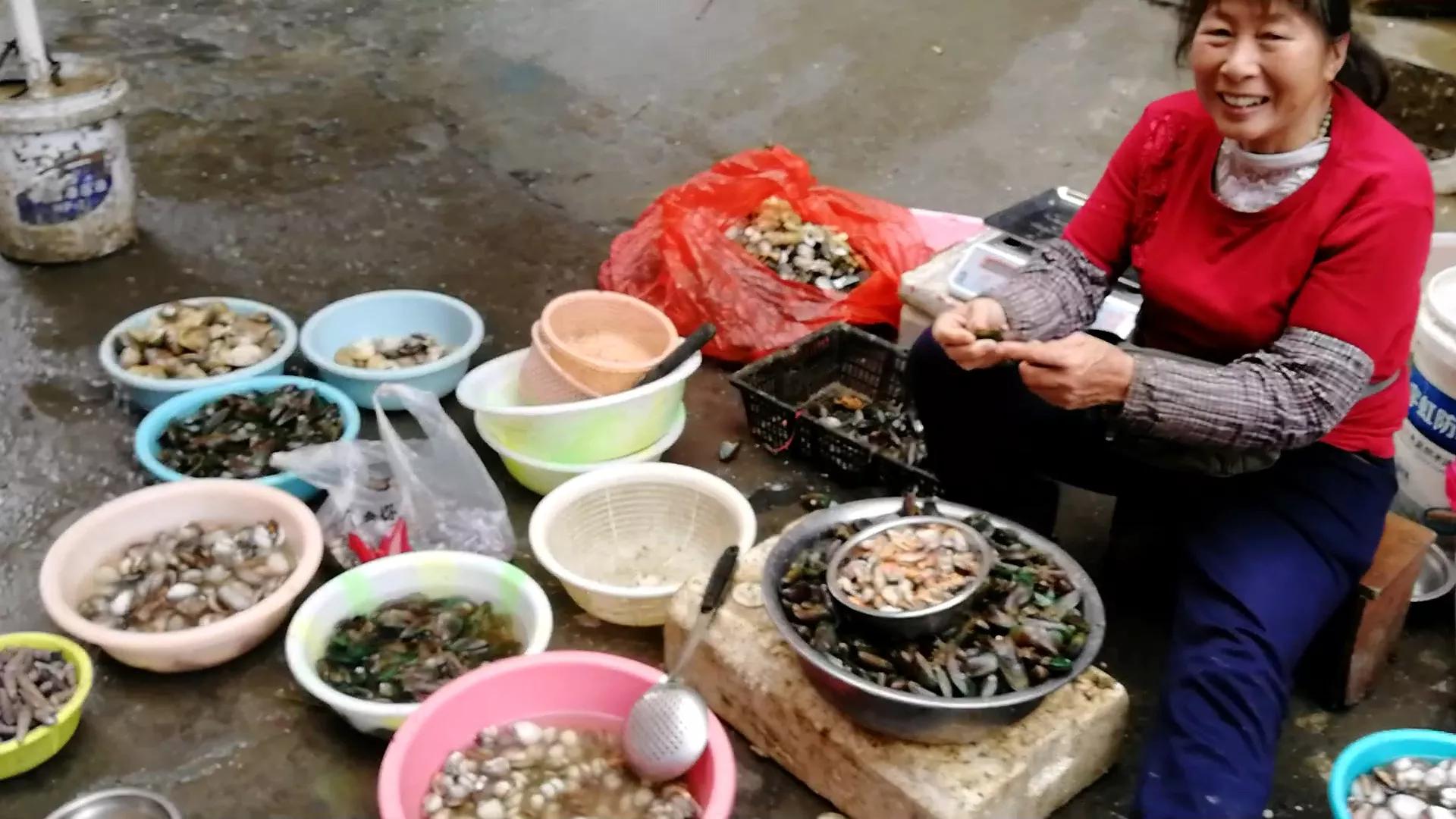 阳江海陵岛白蒲镇海鲜市场,海陵岛白蒲镇有什么好玩的地方