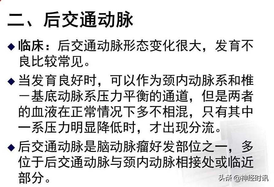脑动脉解剖学讲解,基底节区脑血管解剖
