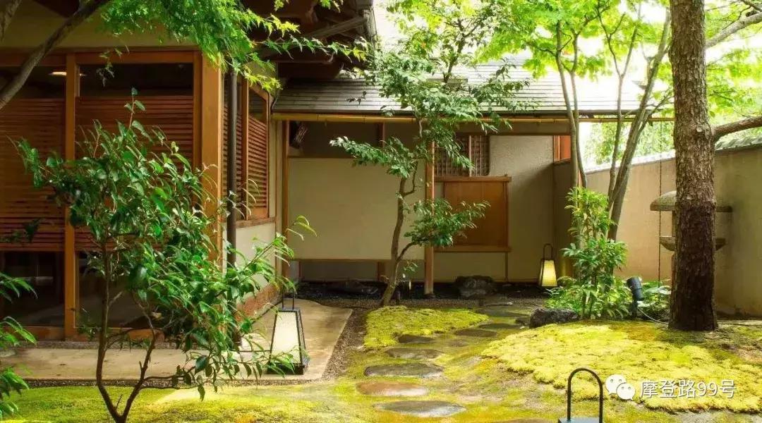 驻足东瀛|在樱花烂漫丛中品一场跨国球赛