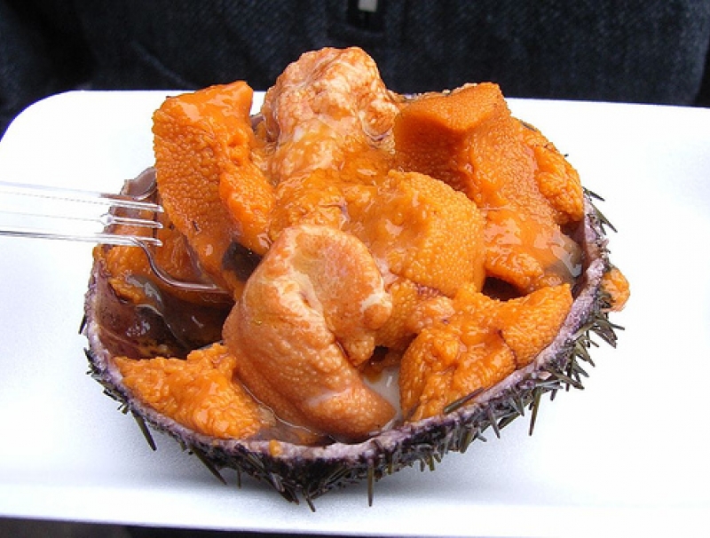 海胆到底多好吃,海胆原来是这么吃的