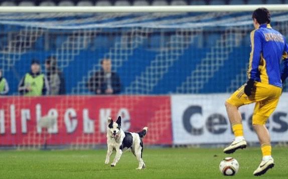 你不知道的趣事视频,你不知道的足球视频