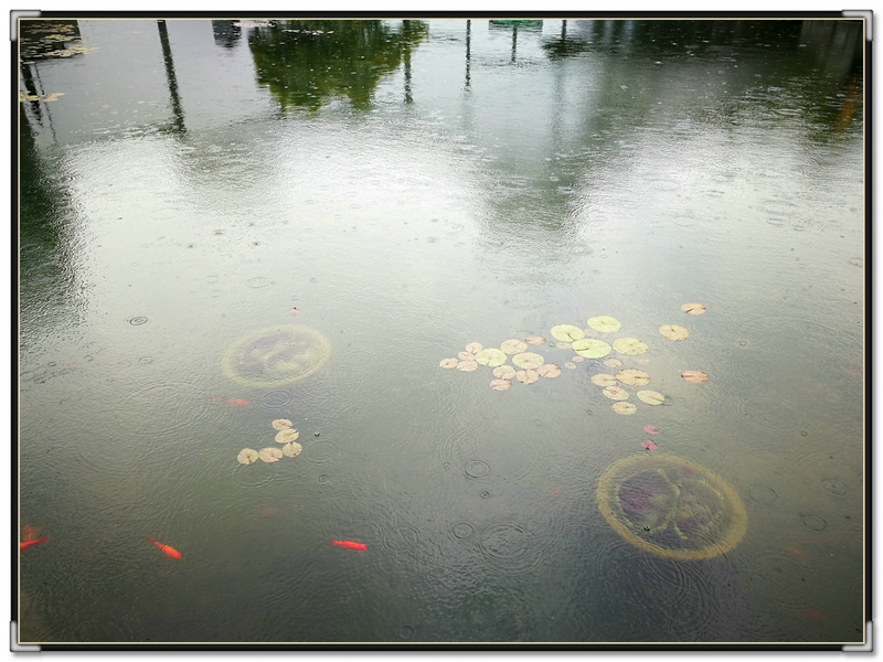 建筑大师贝聿铭的家,致敬建筑大师贝聿铭