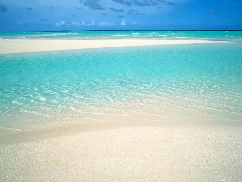 环保科普海洋生态环境基本特征,大连海洋生态环境科普教育基地