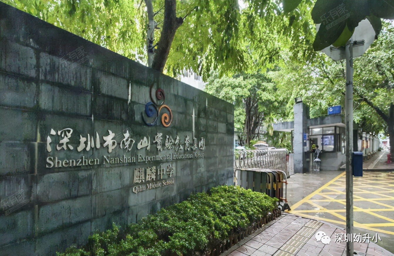 王炸组合第一,高考王炸组合哪三科