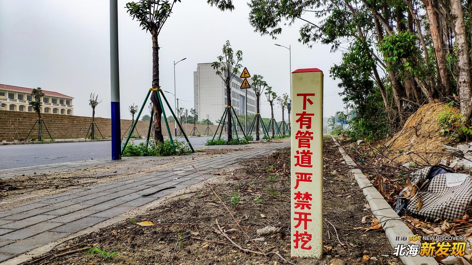 【北海新发现NO74】50亿超级大项目落户，打造北海旅游双“王炸”