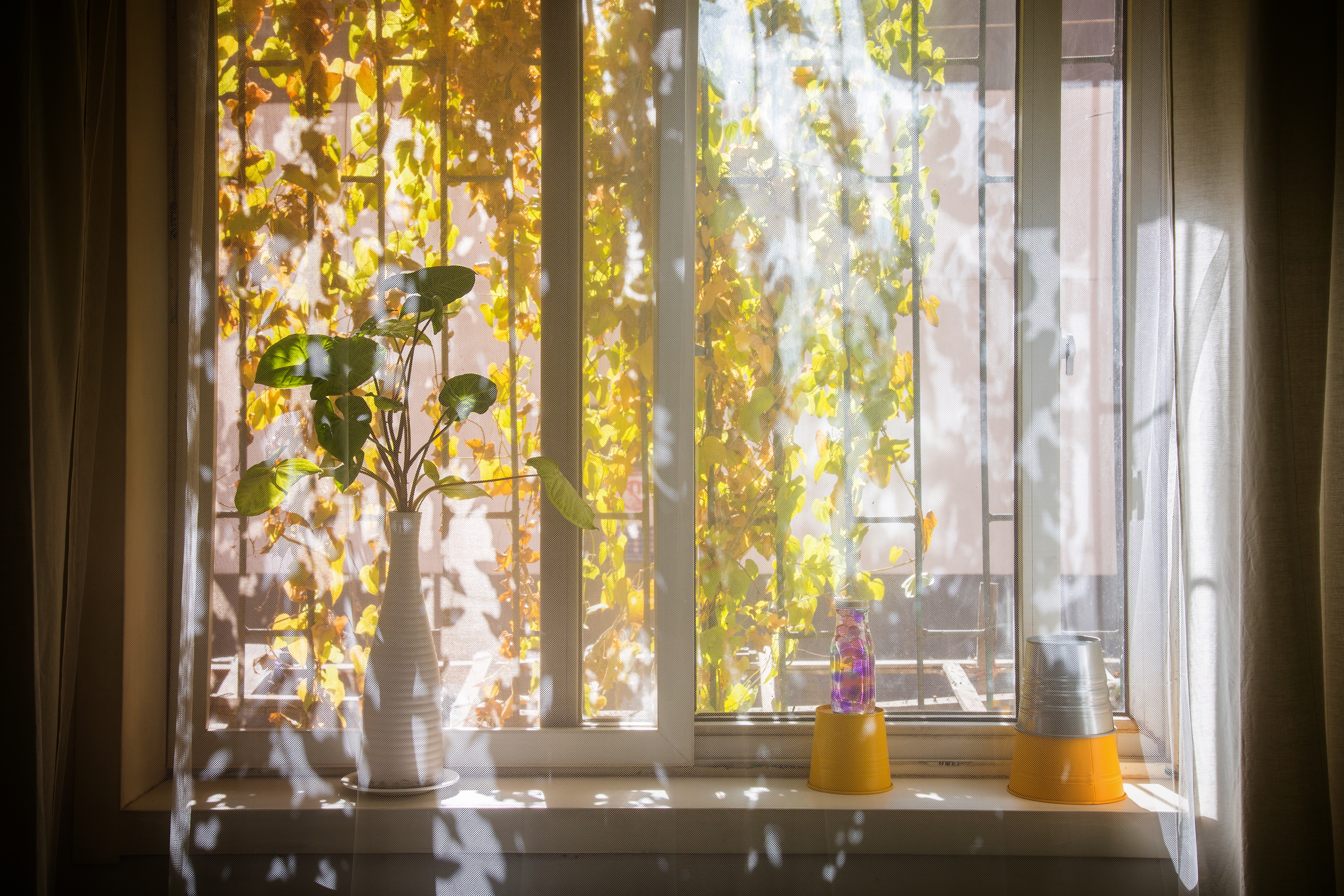 女人有哪些适合做的小生意,适合女性一个人做的小生意有哪些