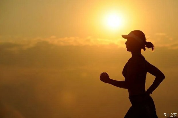 修行是最好解脱前路漫漫山猫不负一生