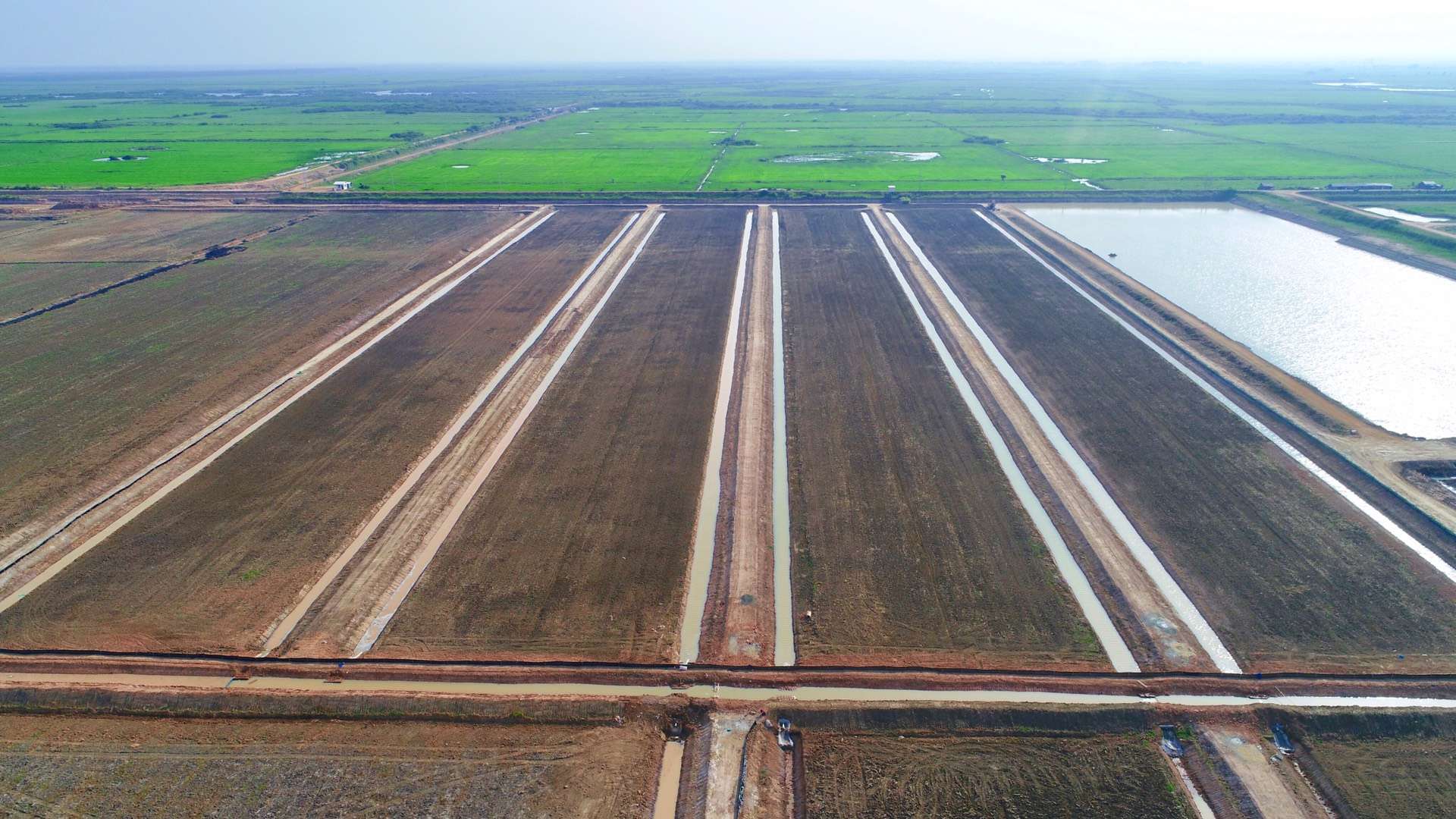 “一带一路”农业投资合作：既得求快，更得求稳