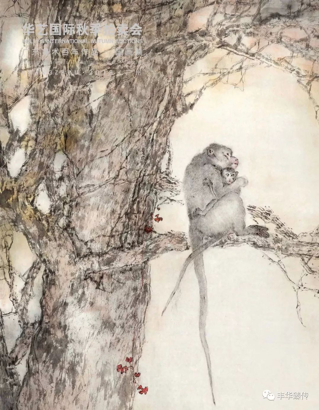 百代标程飞侠影，八方嘉宾会天南！帽哥出品