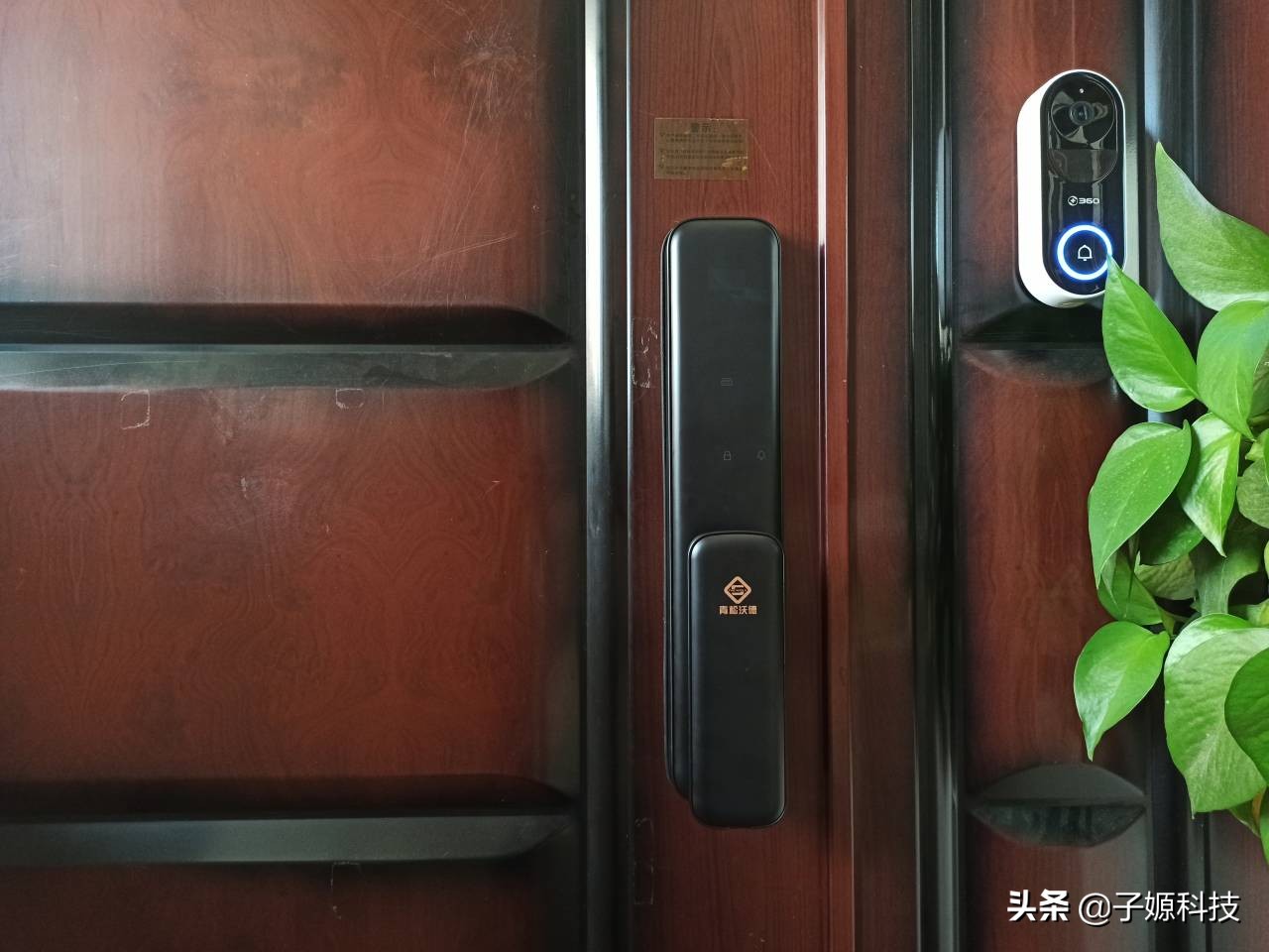 青松沃德l11全自动,青松沃德智能门锁l11多少钱