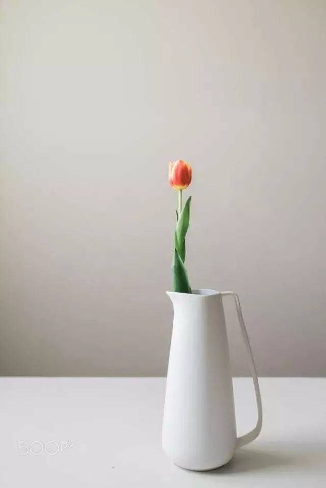 花店里买回来的鲜花怎么放更长久,花店鲜花如何保存时间可以比较长