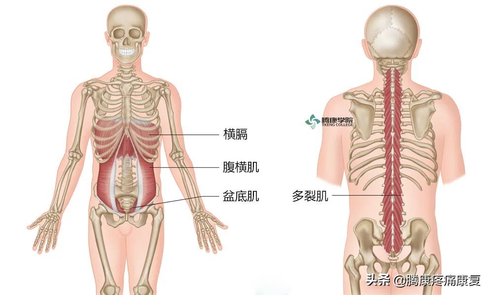 骶髂关节疼痛的原因一般是什么,骶髂关节夜间疼痛口服什么药品