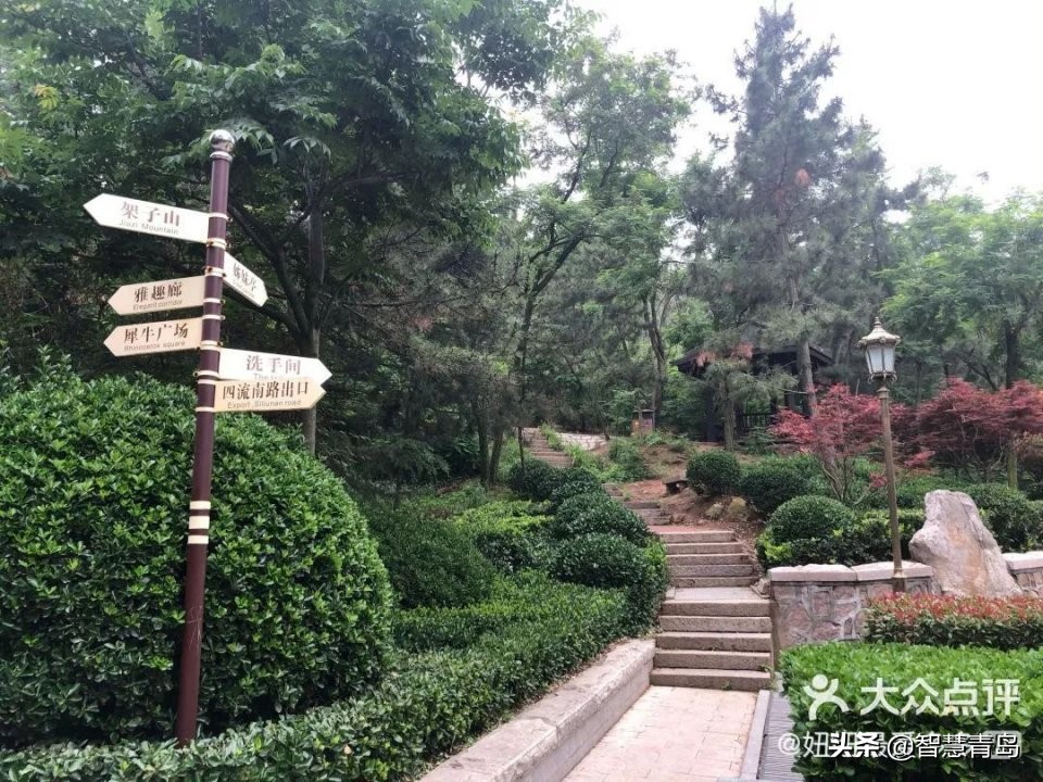 青岛威海烟台夏天哪个凉快,青岛夏季游玩攻略大全