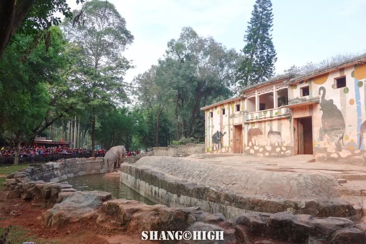 记者探访广州动物园,动物园观察动物