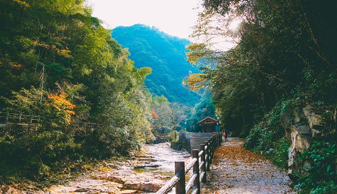 一起游玩泰顺,小众旅游泰顺