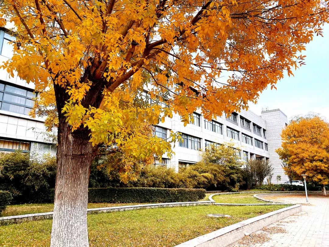 天津市普通高等院校（三）天津师范大学