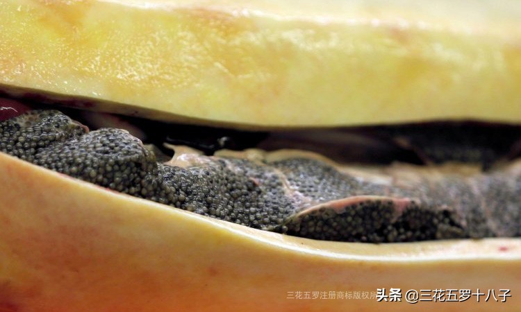 鱼子酱是三大奢侈品美食吗,世界三大美食鱼子酱