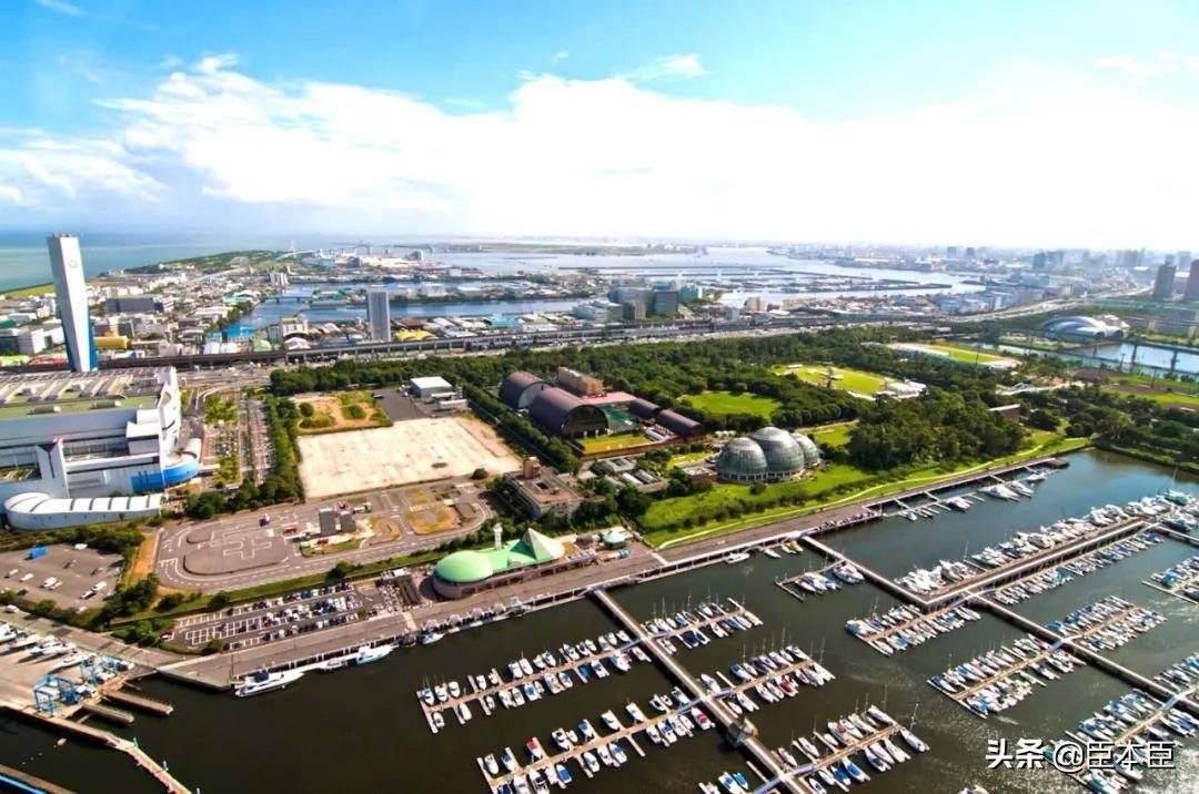 2020年东京奥运会看点大盘点,2020东京奥运会有哪些亮点