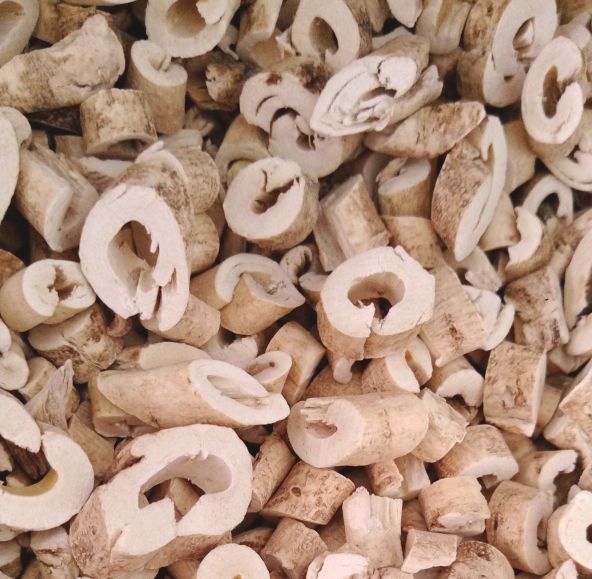 每日中药,中药白鲜皮是什么意思