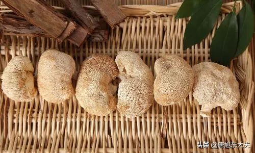 免疫性血小板减少症吃什么能提高,免疫性血小板减少症饮食