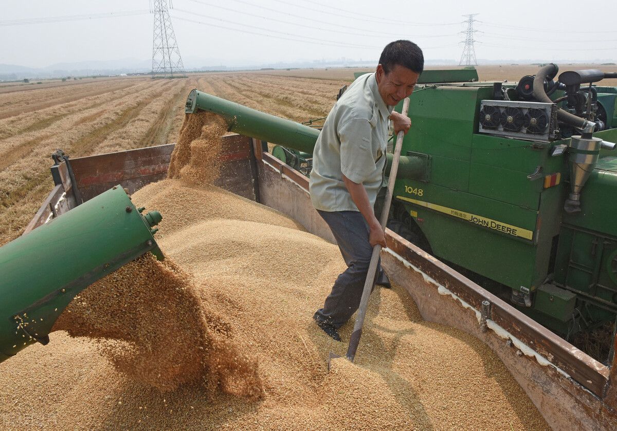 明年为何叫辛丑无春年？“寡妇遇金牛，粮仓堆到头”，是啥意思？