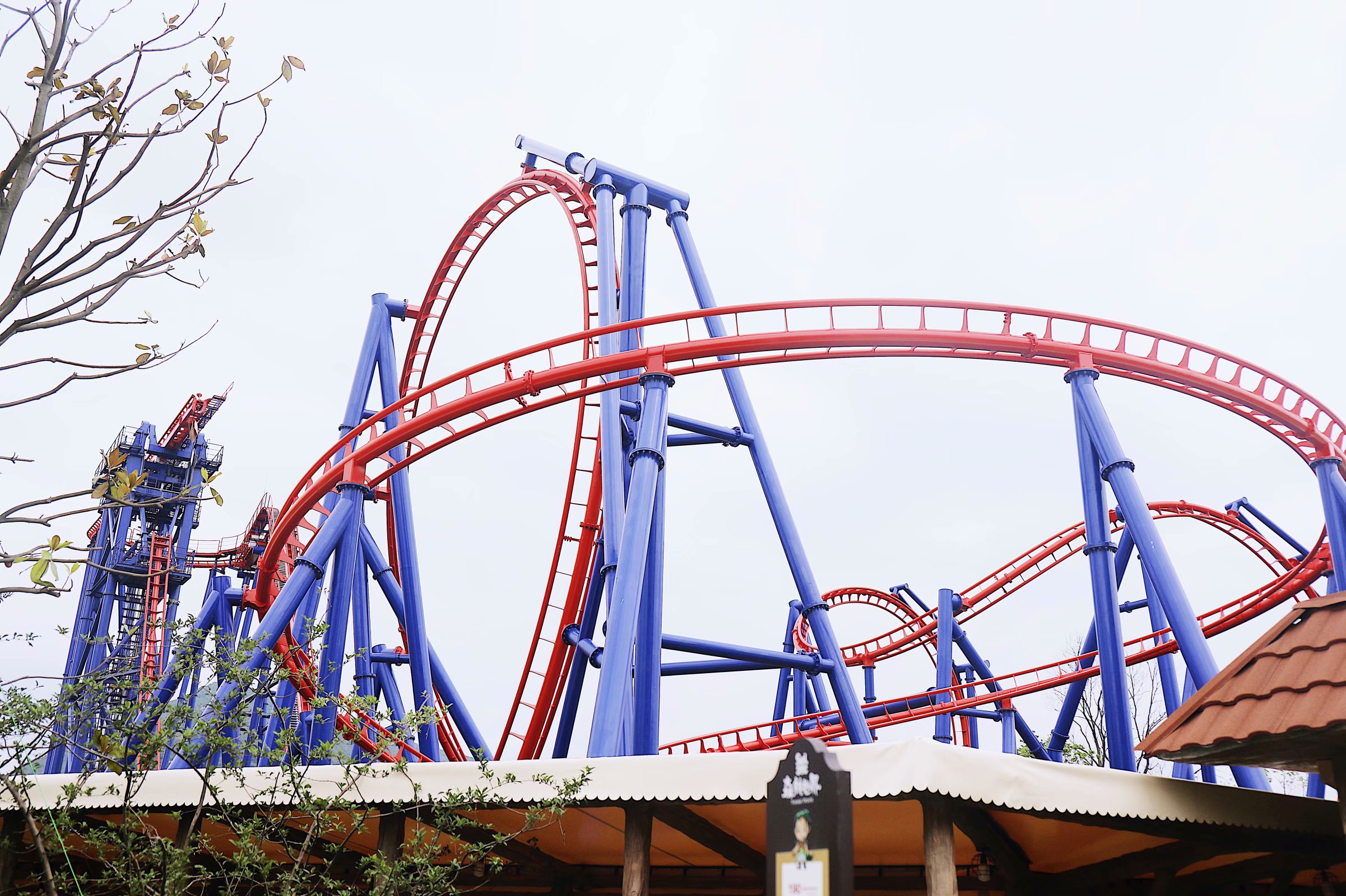 苏州乐园森林水世界几月份开始,乐园森林世界手游攻略