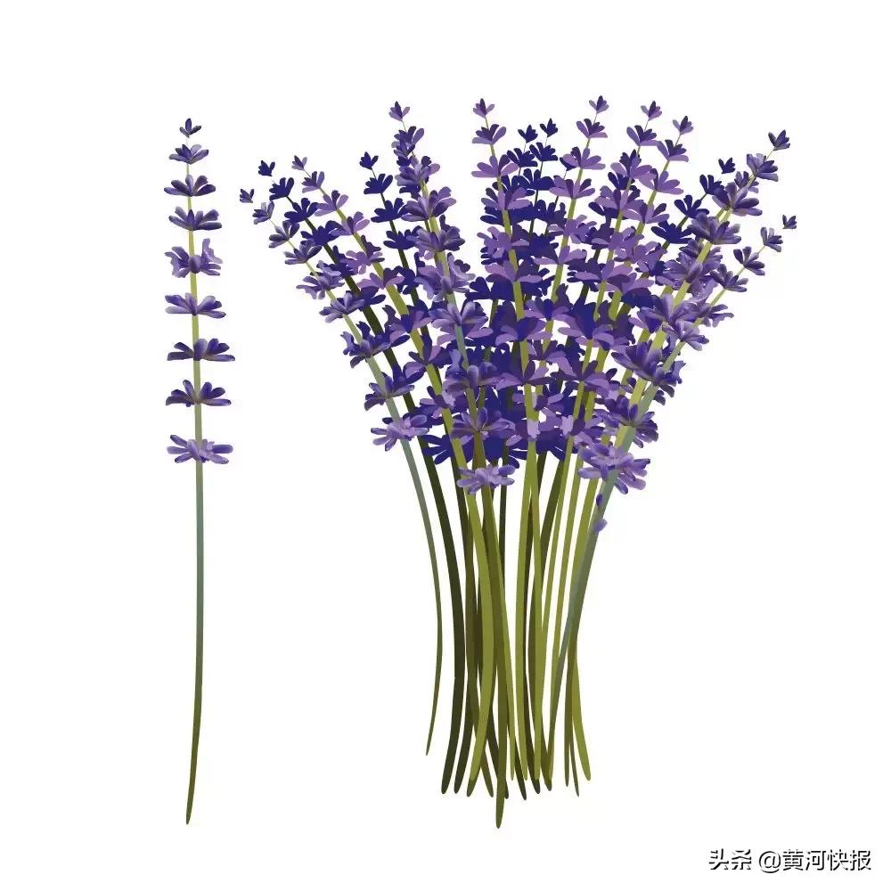 鐏靛疂娑堝閬挎殤鏃呮父,鐏靛疂娑堝鏃呮父