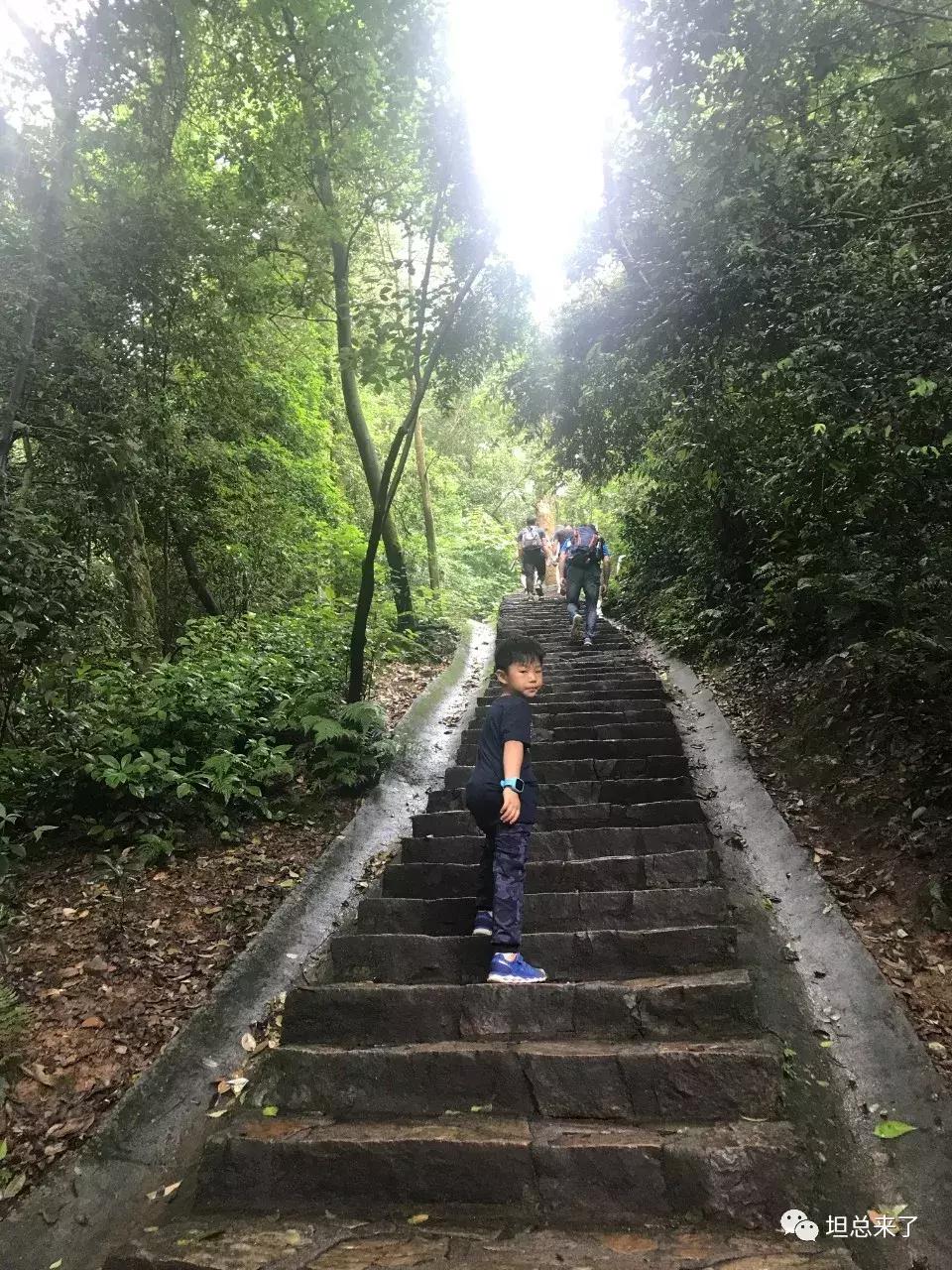 长沙旅游攻略网红打卡,来长沙必打卡的地方攻略