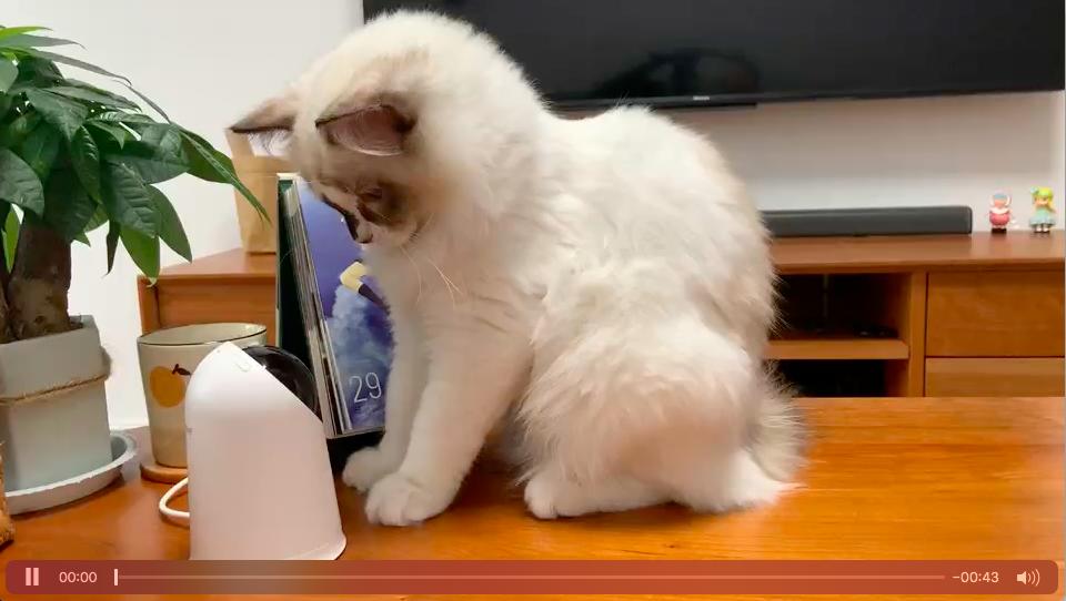 光荣亲选hq3s摄像头画面有点卡顿,光荣hq3摄像头视频格式