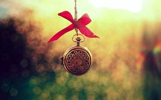 母亲的遗憾作文,母亲的遗憾有哪些