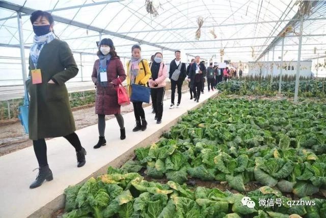 农业果树种植致富项目,致富经种植什么果树最赚钱