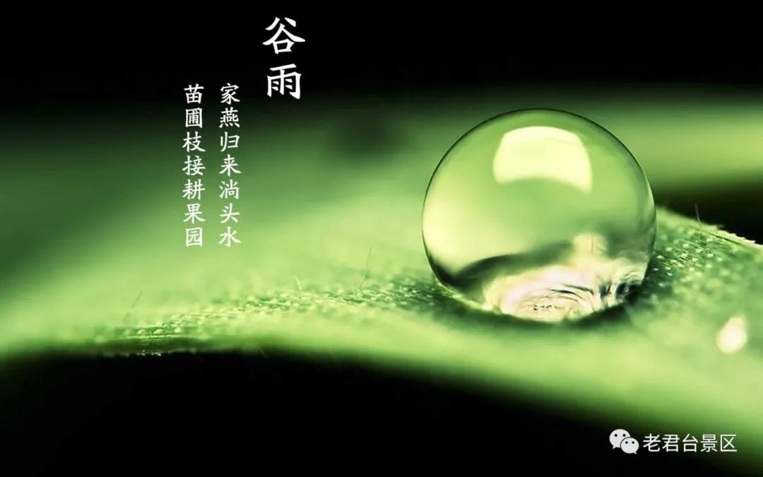 二十四节气谷雨祝福语,二十四节气谷雨的由来