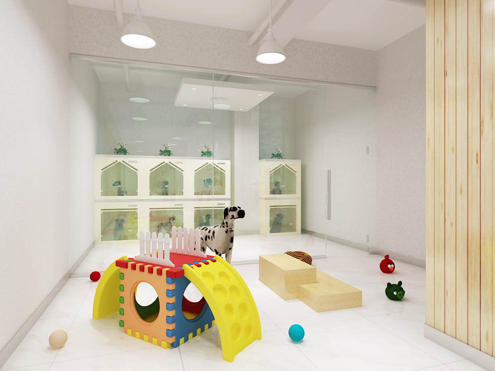 开宠物店需要学习的技能有哪些,开宠物店需要多少钱投资