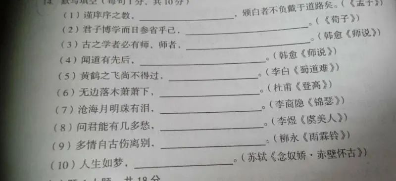 真·做题家：做题为生月入过万