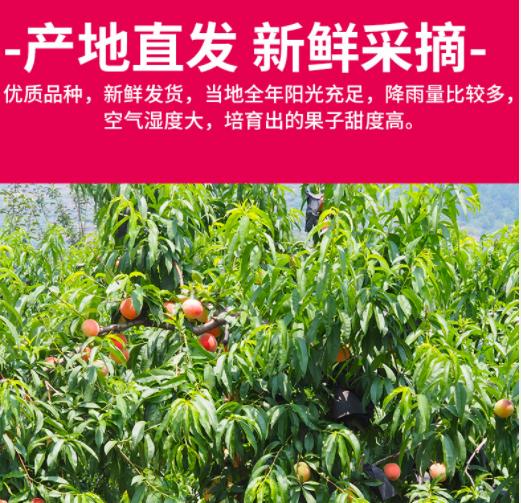 6月份最好吃的水果推荐,5月6月什么水果当季好吃