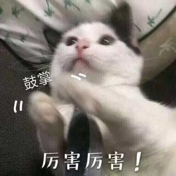 燥了一整个夏天，这个节目就是real