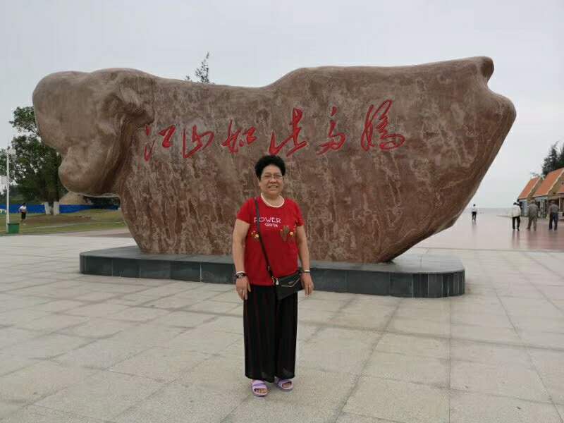 致我的母亲歌德赏析,致我的母亲歌德表达了什么