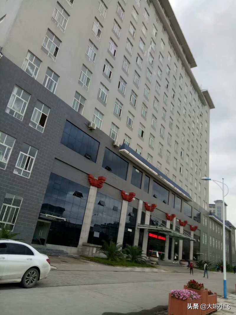 我的大学,我的大学简介视频