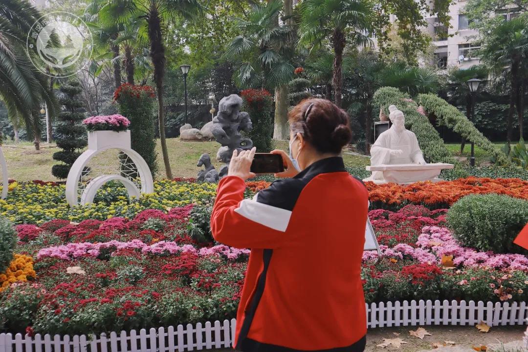 金秋时节菊展赏菊,趁着周末逛菊展